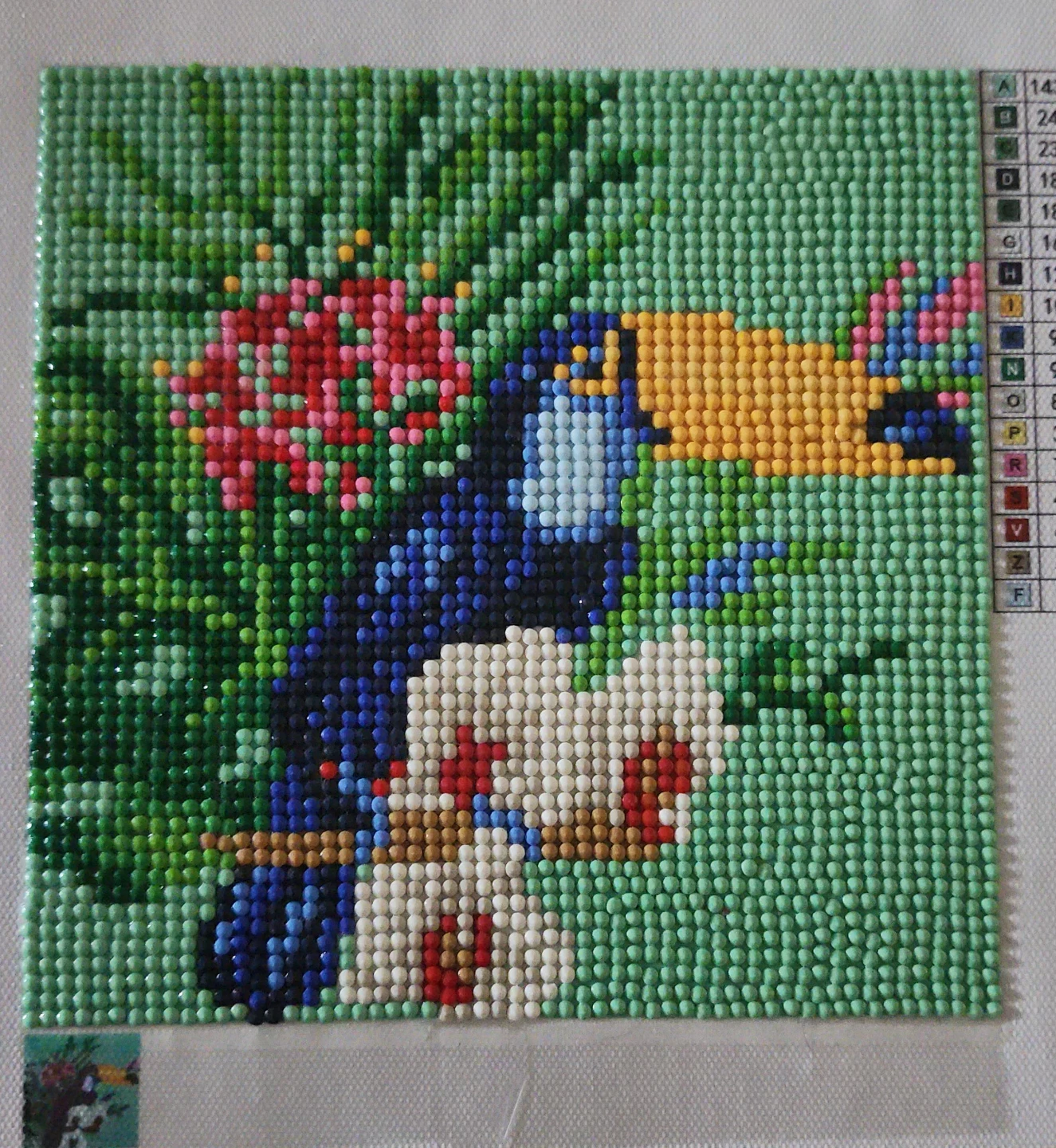 Diamond Painting Toucan Art Kit