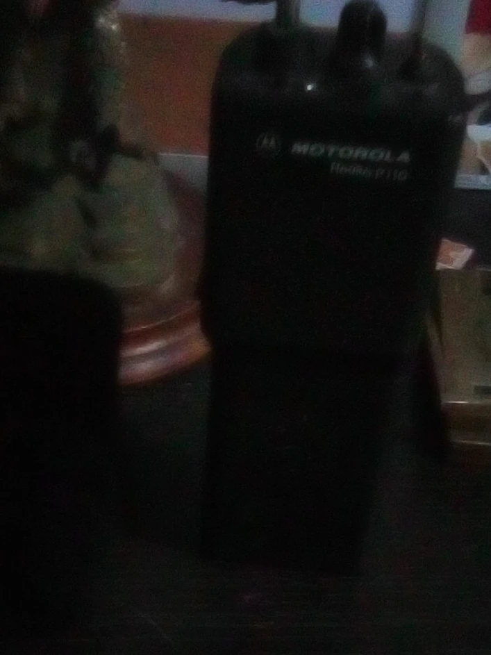 Motorola Radio P110