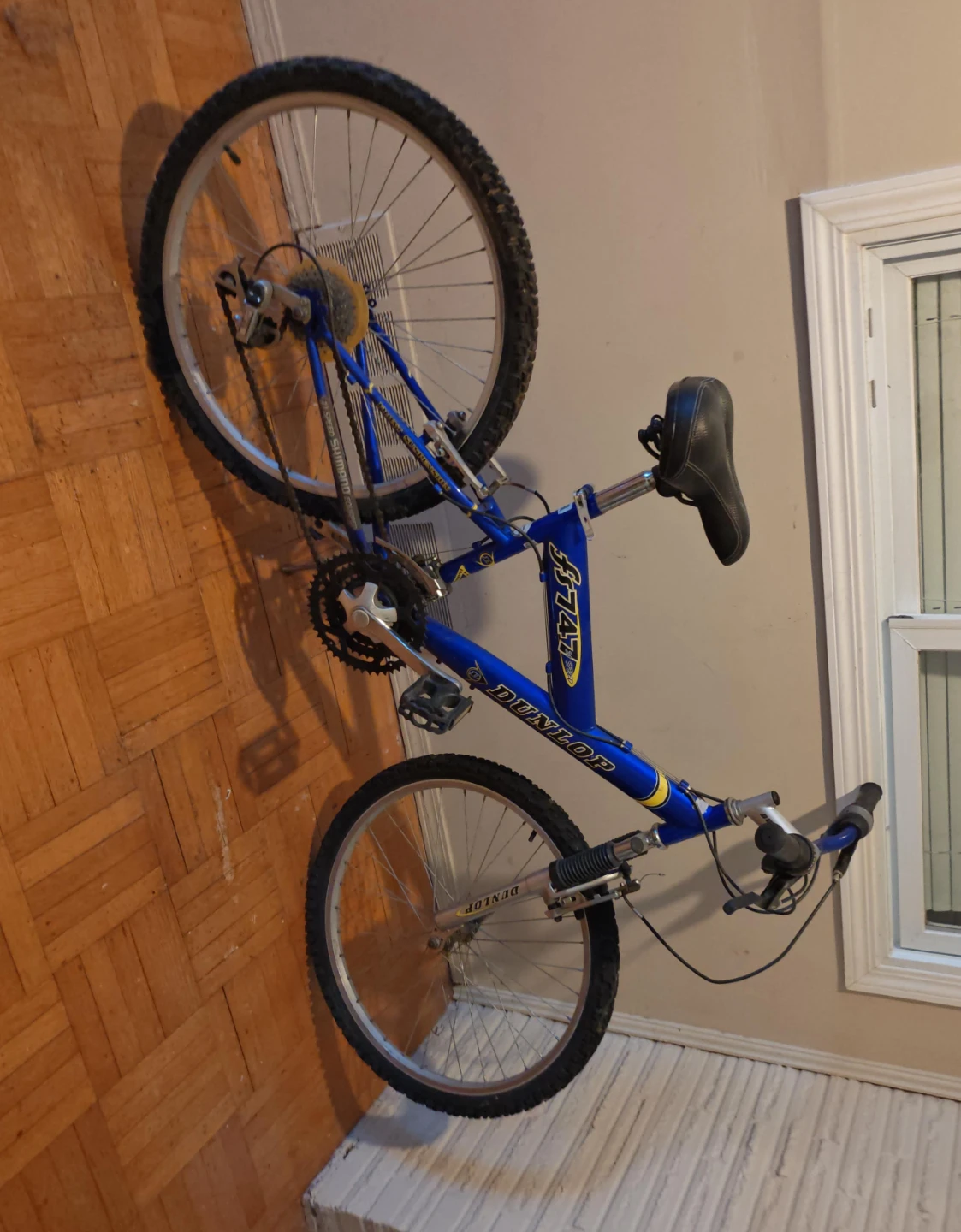 Dunlop Mountain Bike