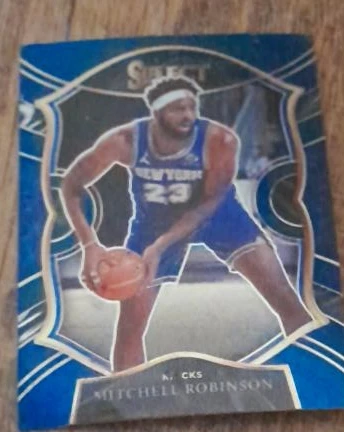 Panini Select Mitchell Robinson Basketball Card