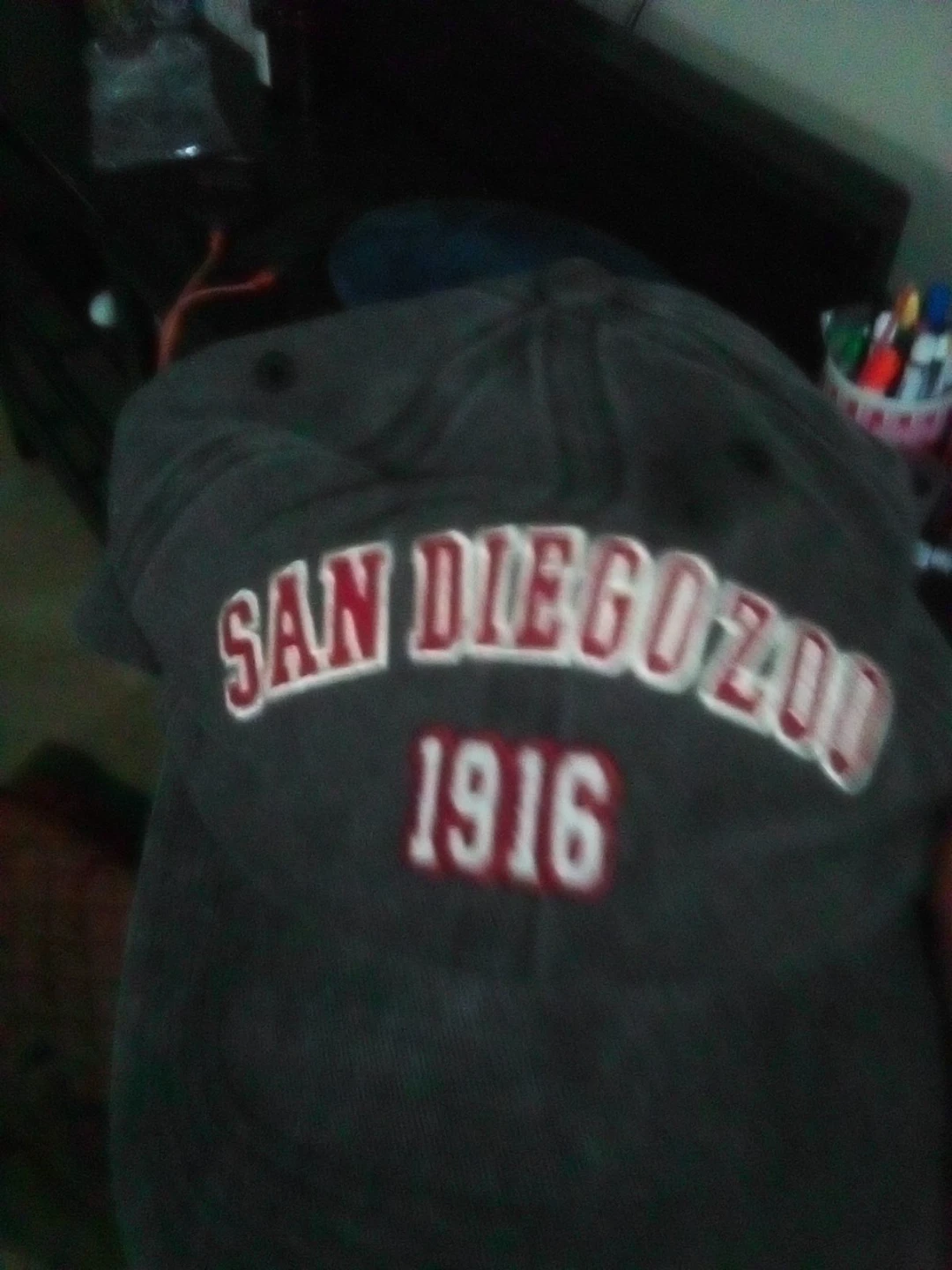 San Diego Zoo 1916 Baseball Cap