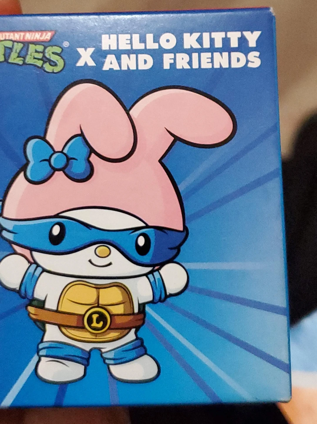 Teenage Mutant Ninja Turtles x Hello Kitty and Friends
