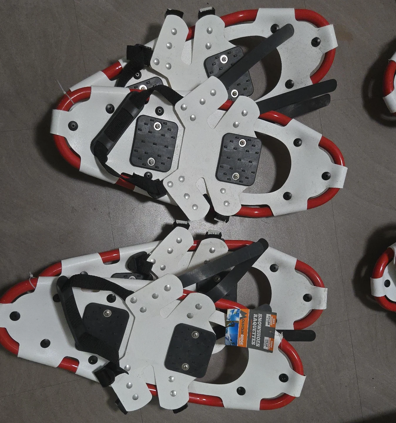 Mountain Ridge Snowshoes - Like New!