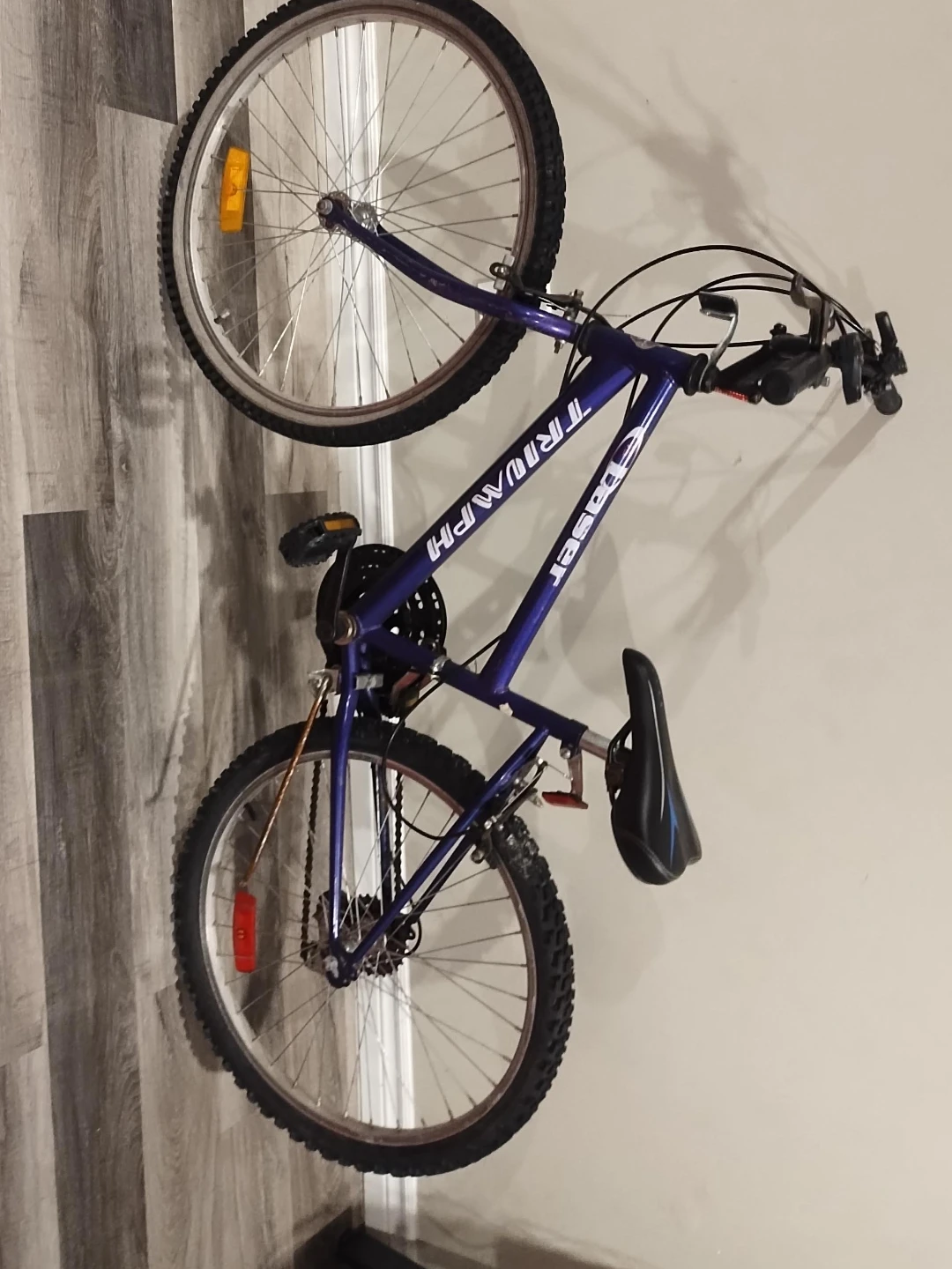 Triumph Laser Mountain Bike