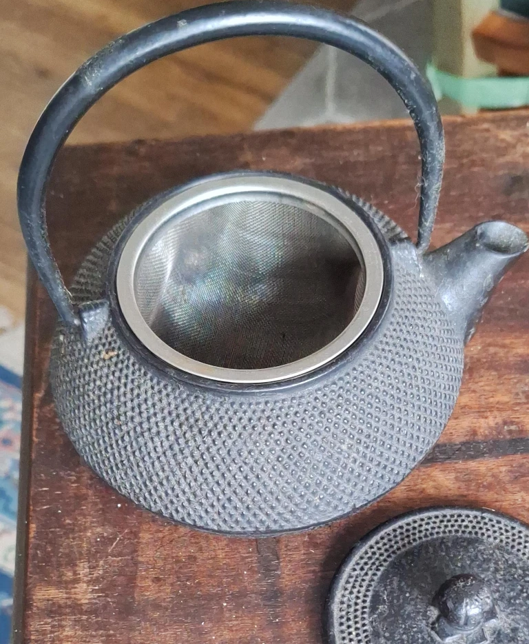 Cast Iron Teapot with Infuser