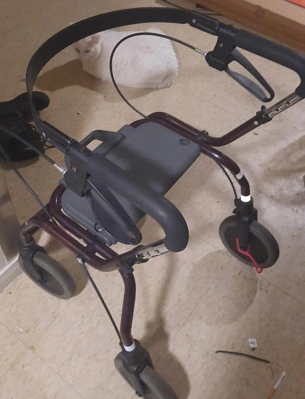 Rolling Walker with Seat