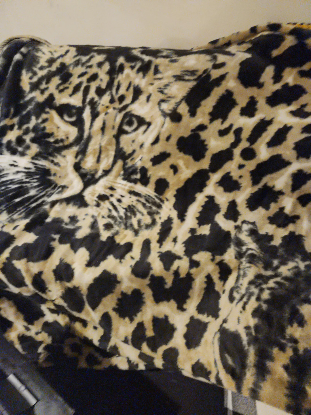 Animal Print Throw Blanket