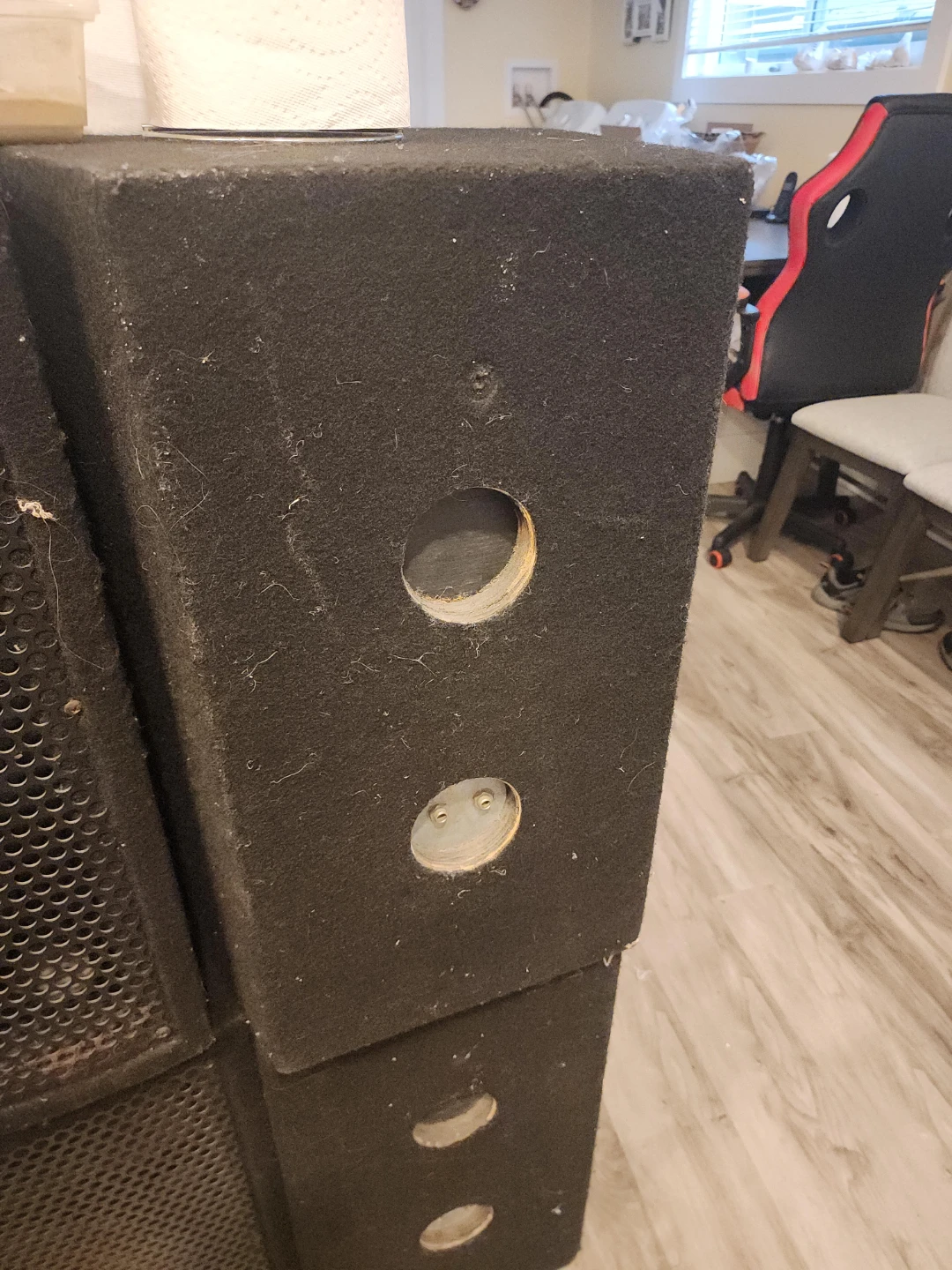 LASE Light and Sound Equipment Speakers🥳