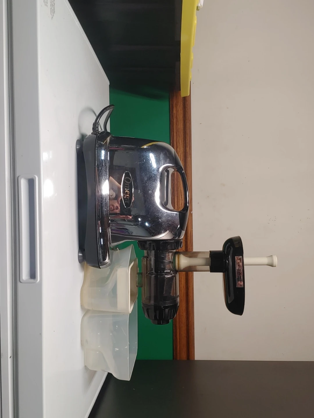 Omega Slow Juicer 8006