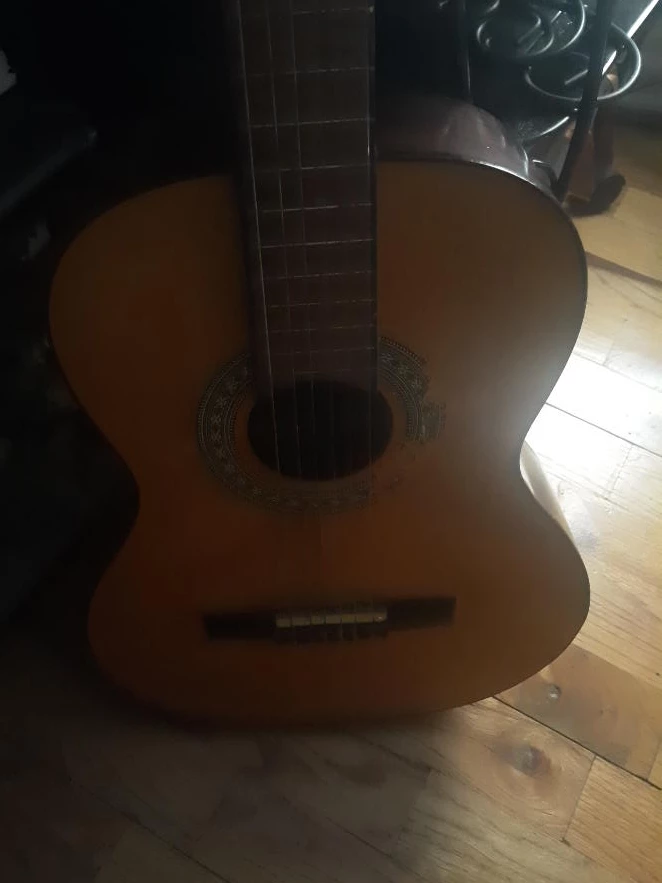 Acoustic Guitar