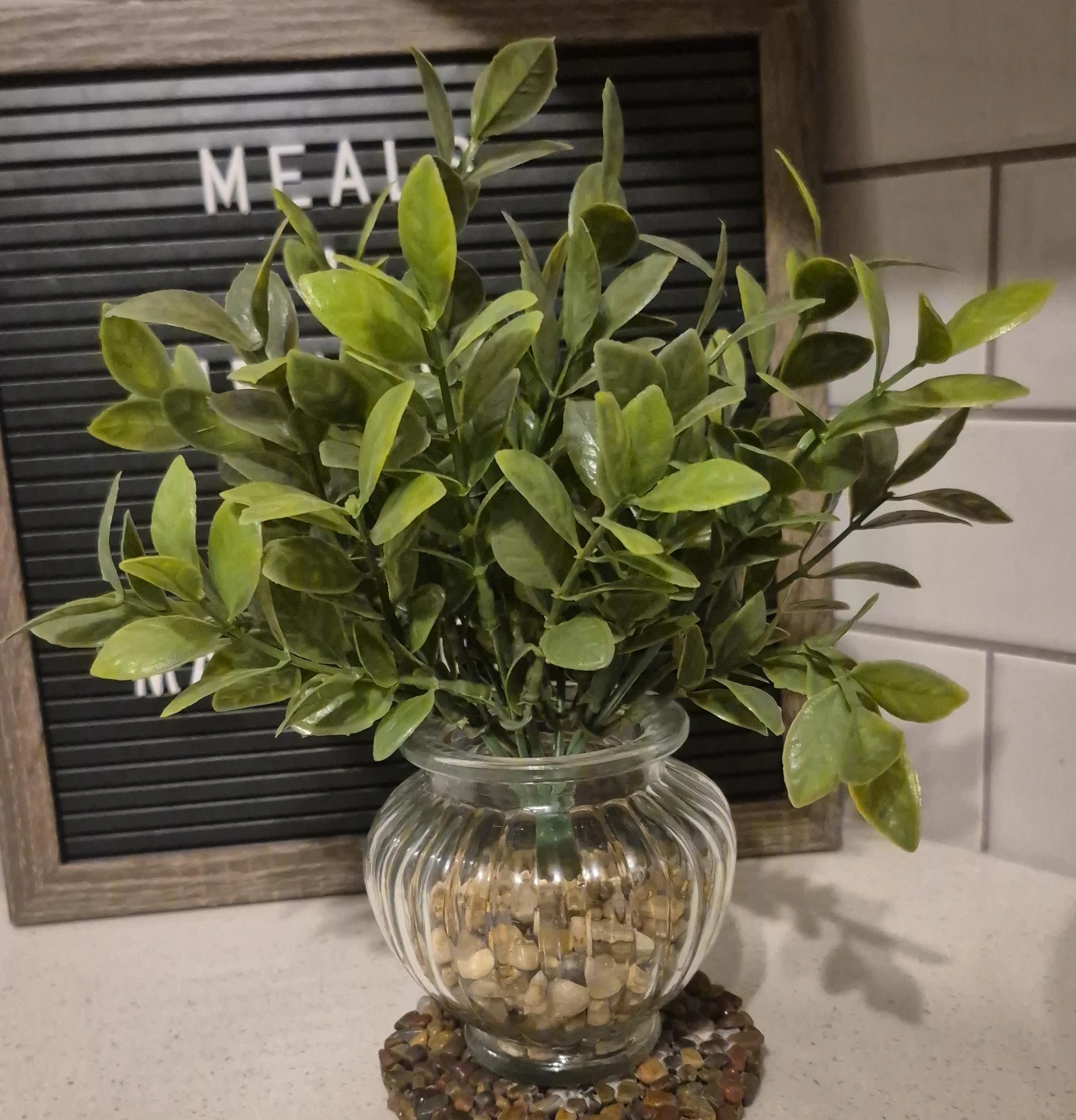 Artificial Green Plant in Glass Vase with Stones