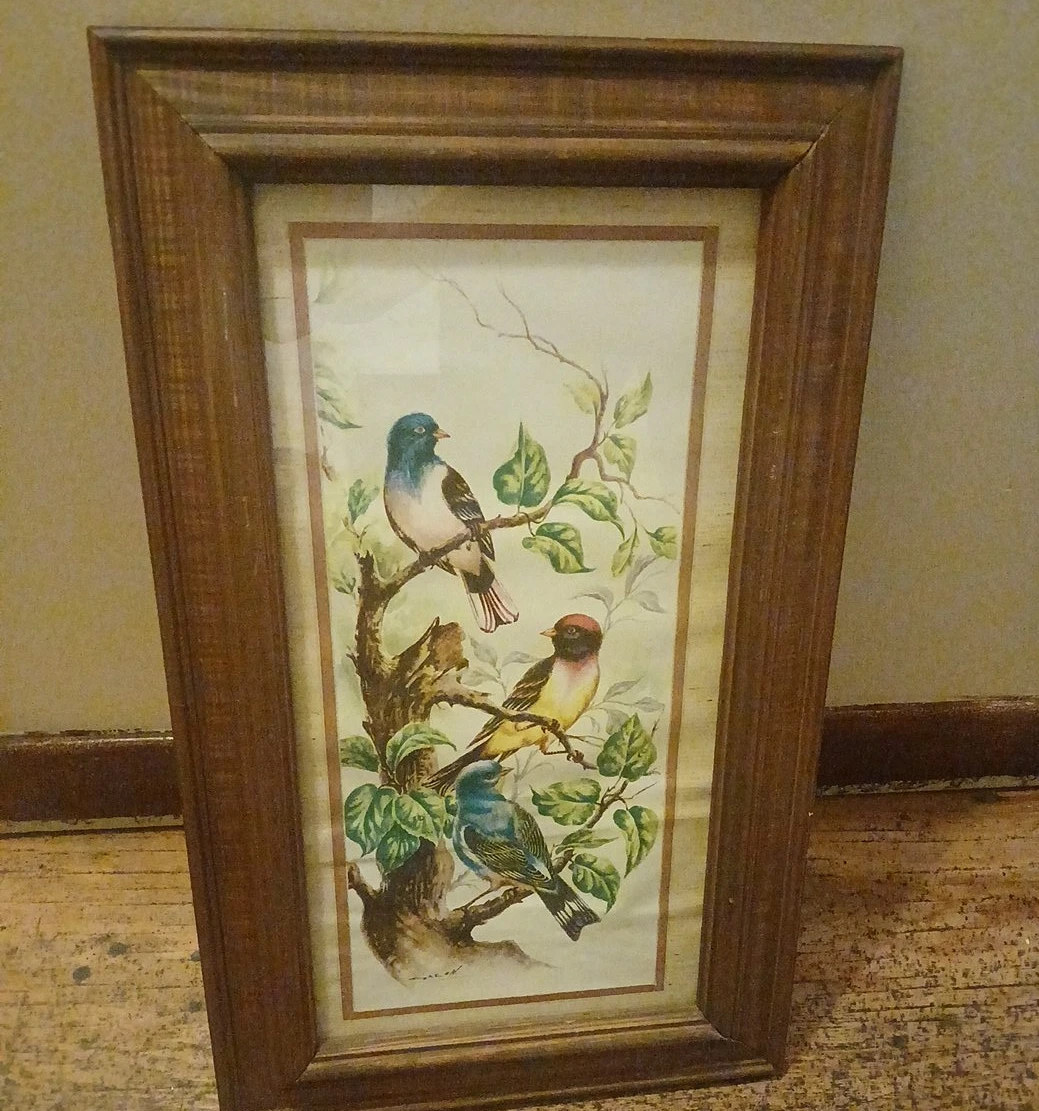 Framed Bird Print Wall Art