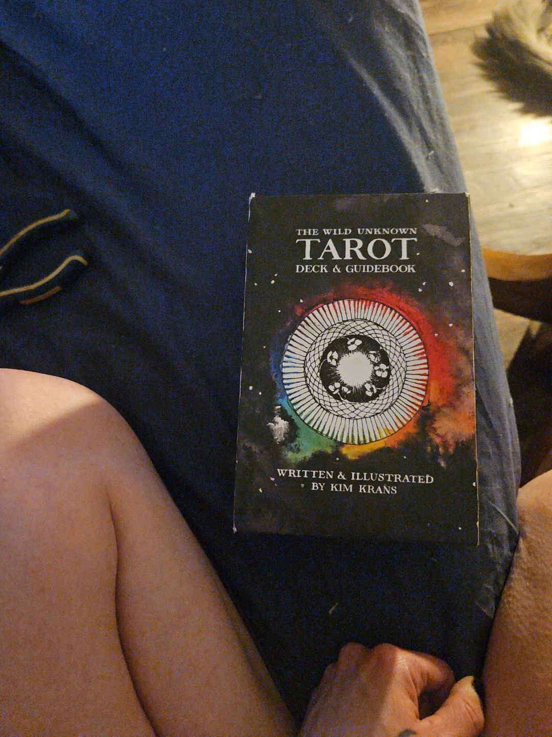 The Wild Unknown Tarot Deck & Guidebook