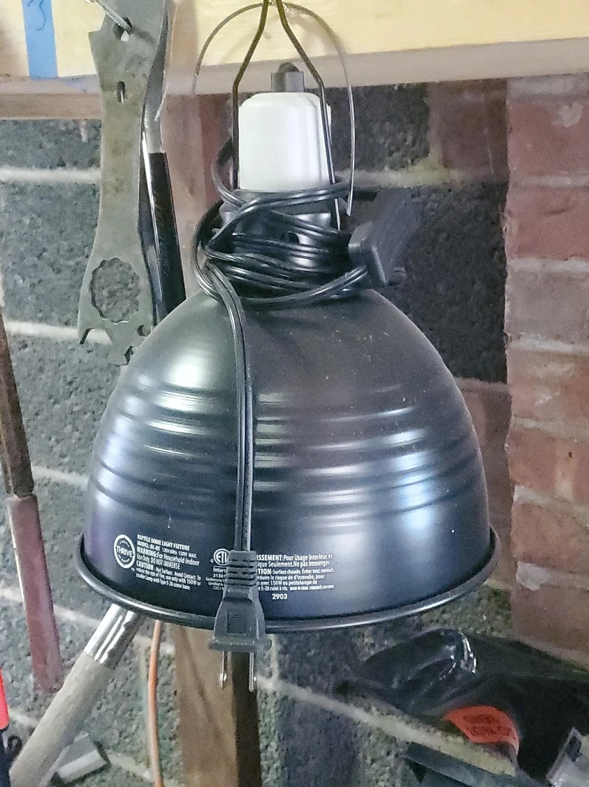 Thrive Reptile Dome Light Fixture