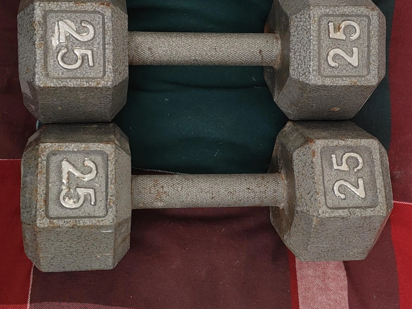 25 lb Dumbbells - Pair