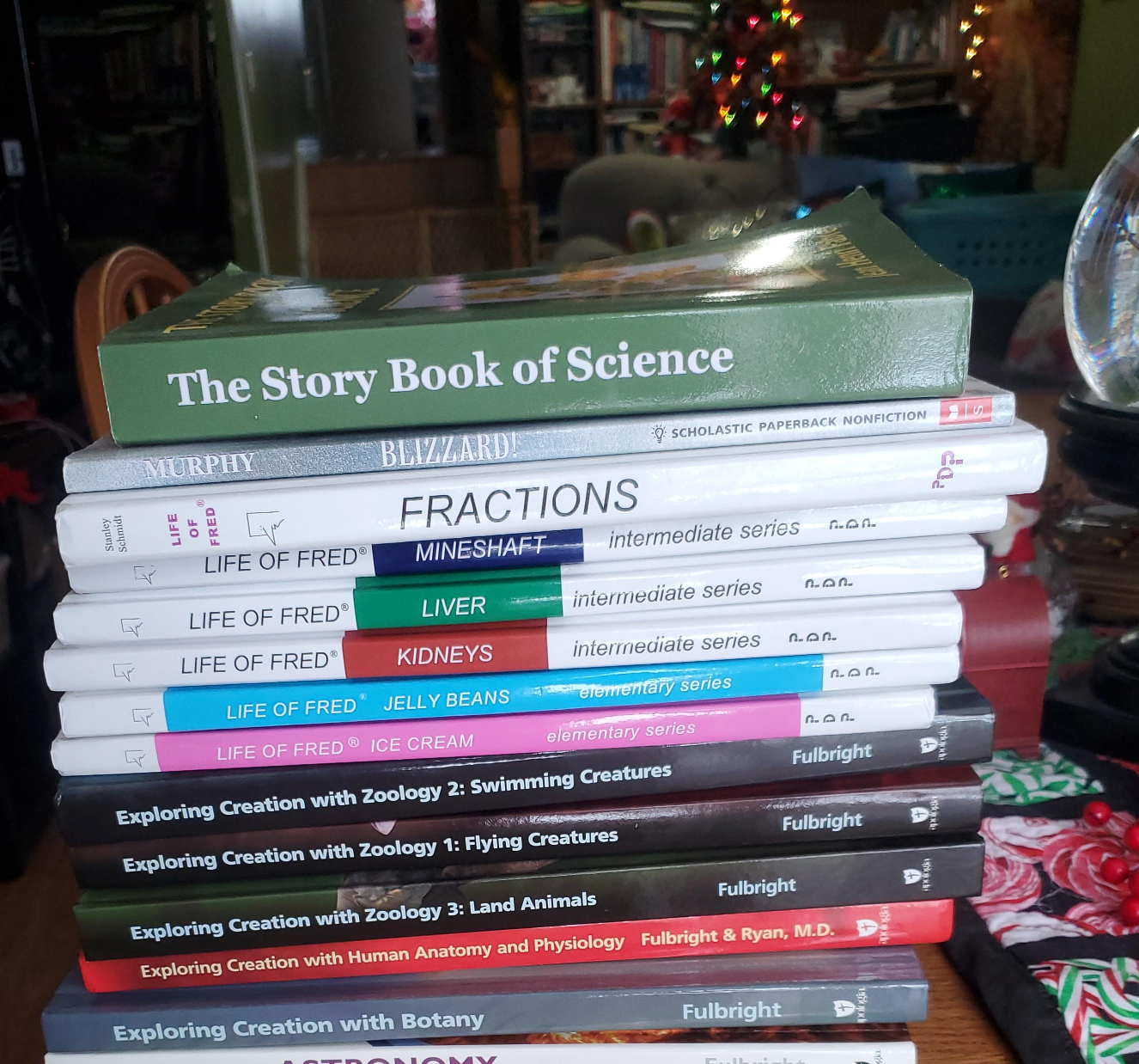 Stack of Educational Books - Life of Fred, etc