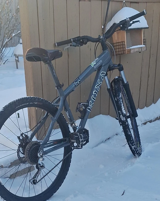 Kona Shred Mountain Bike