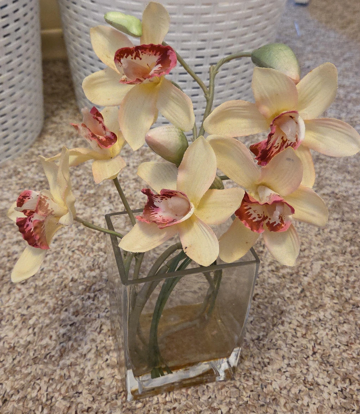 Decorative Orchid Arrangement