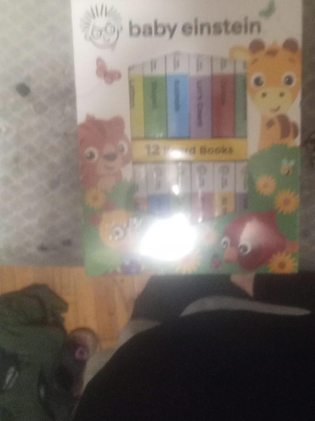 Baby Einstein 12 Board Books Set
