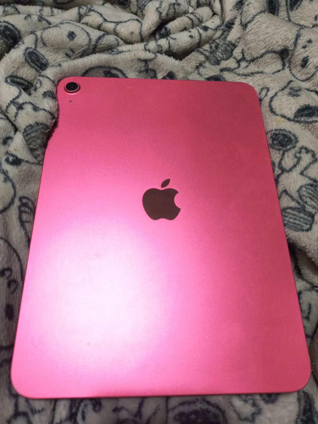 Pink Apple iPad
