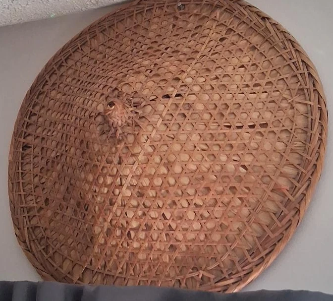 Woven Bamboo Hat