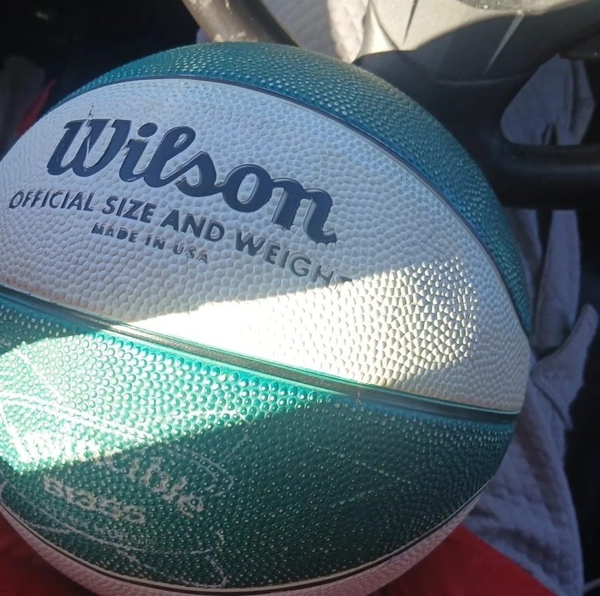 Wilson Official Size and Weight Basketball