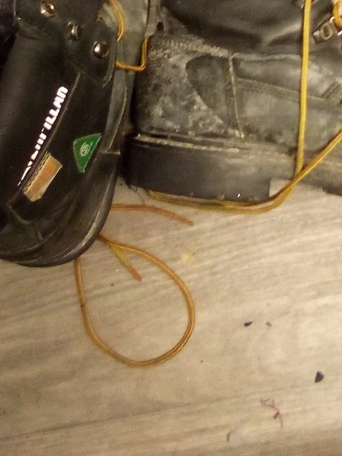 🥕 Caterpillar Work Boots