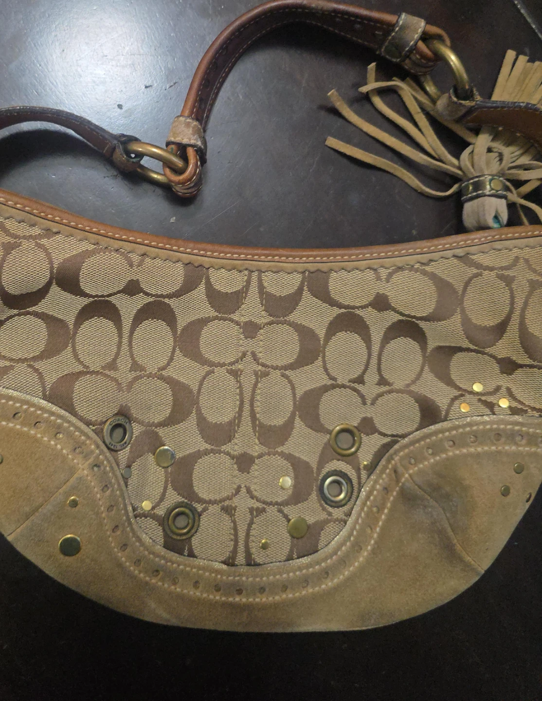 Coach Signature Canvas Hobo Bag