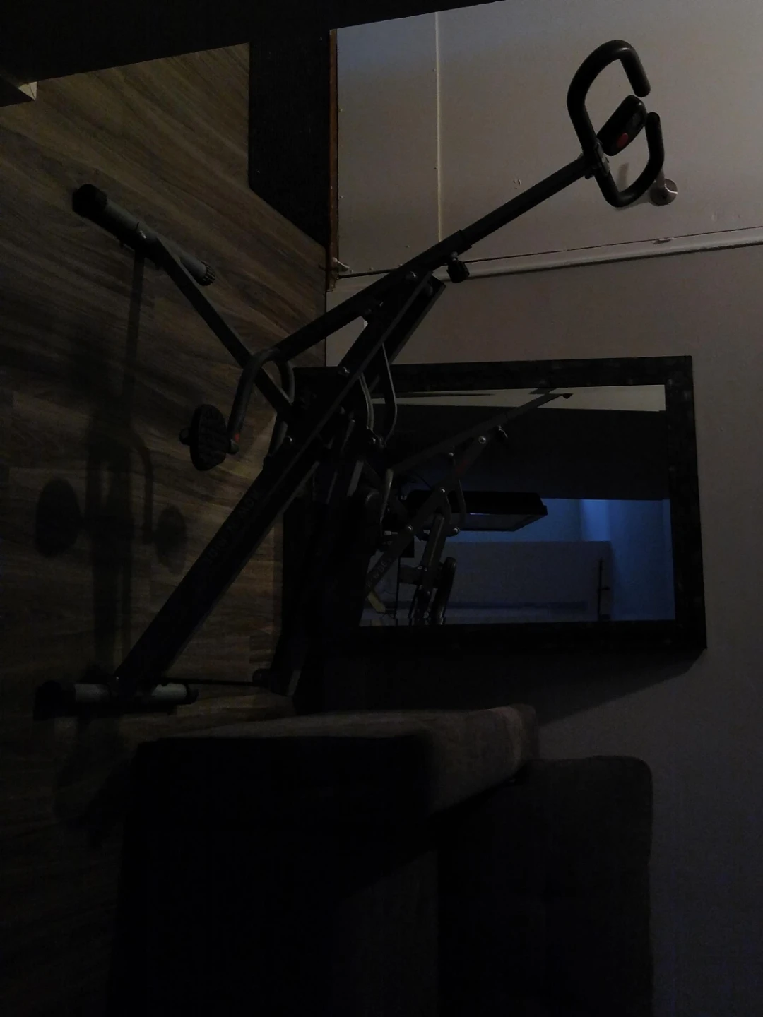 Sunny Health & Fitness Row-N-Ride Trainer - photo 5