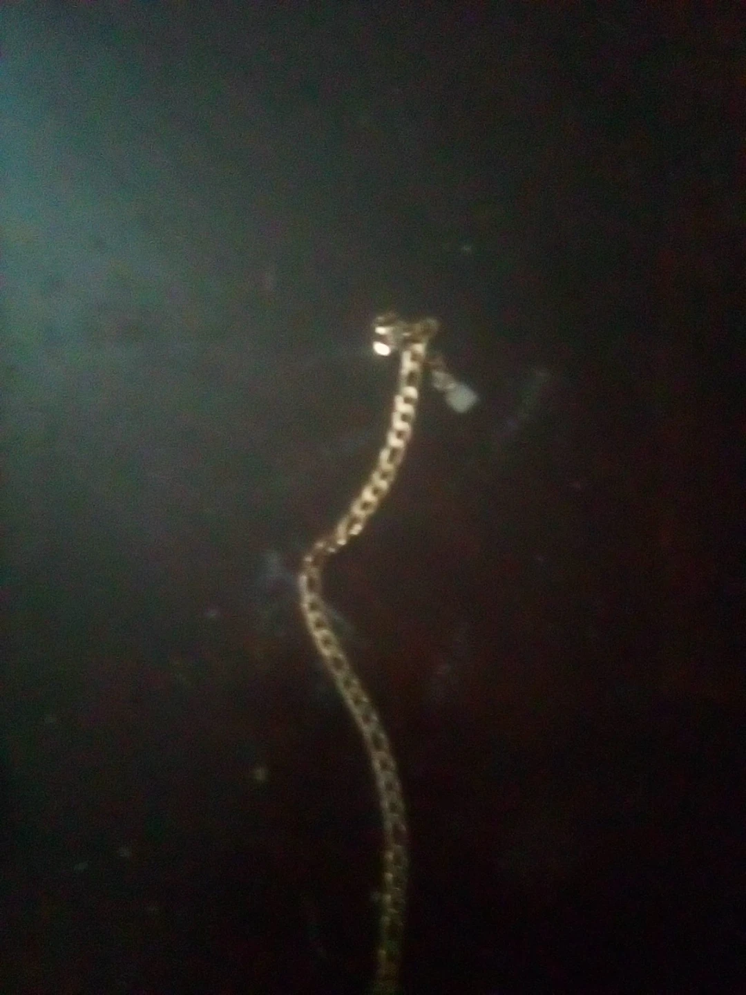 Gold Tone Chain Necklace