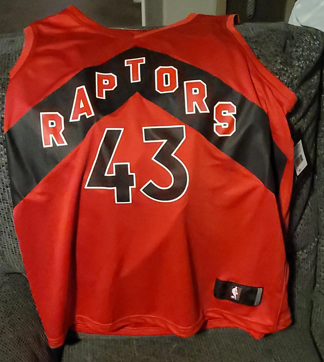 Toronto Raptors #43 Jersey
