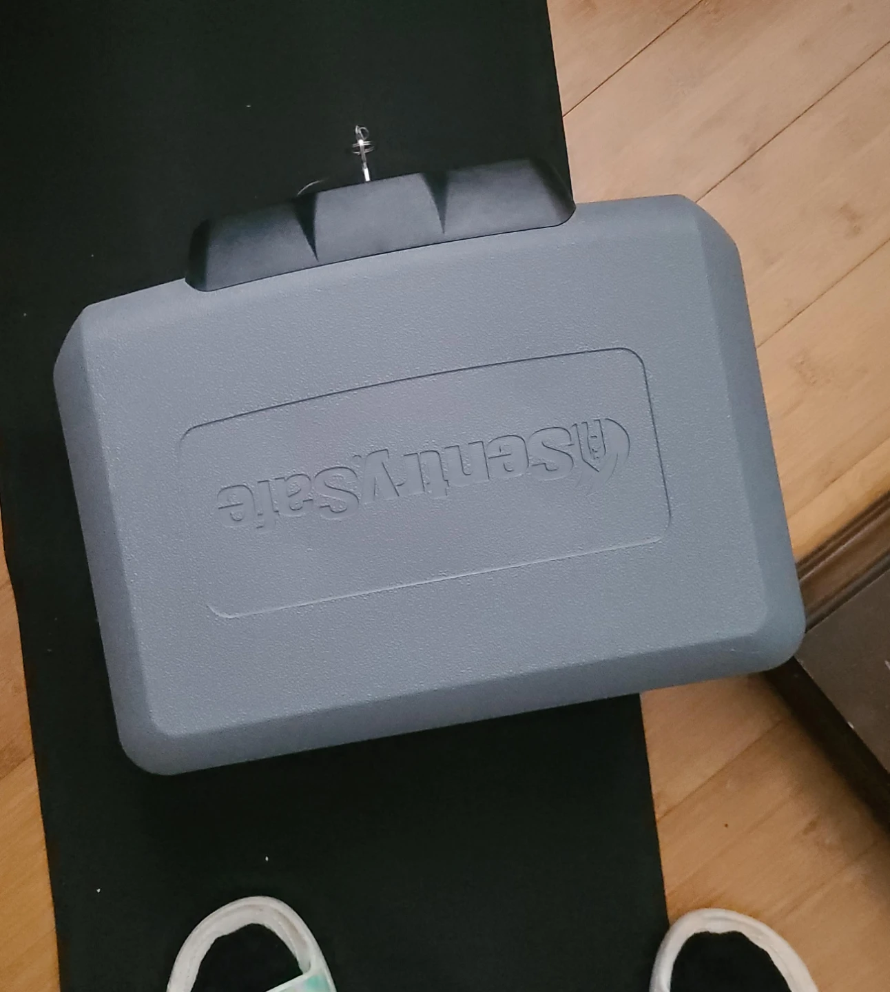 SentrySafe Fire-Safe Box