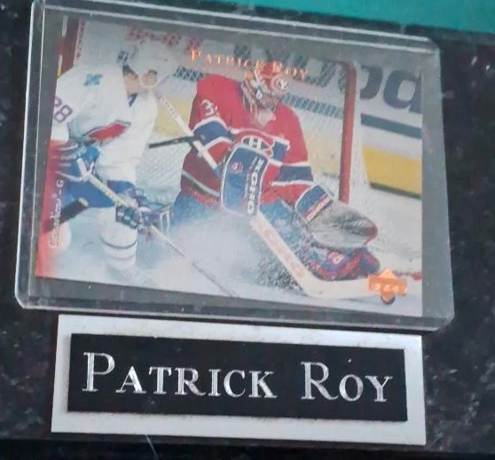 Patrick Roy Hockey Card