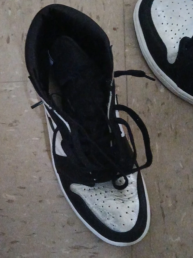 Nike Air Jordan 1 High Sneakers
