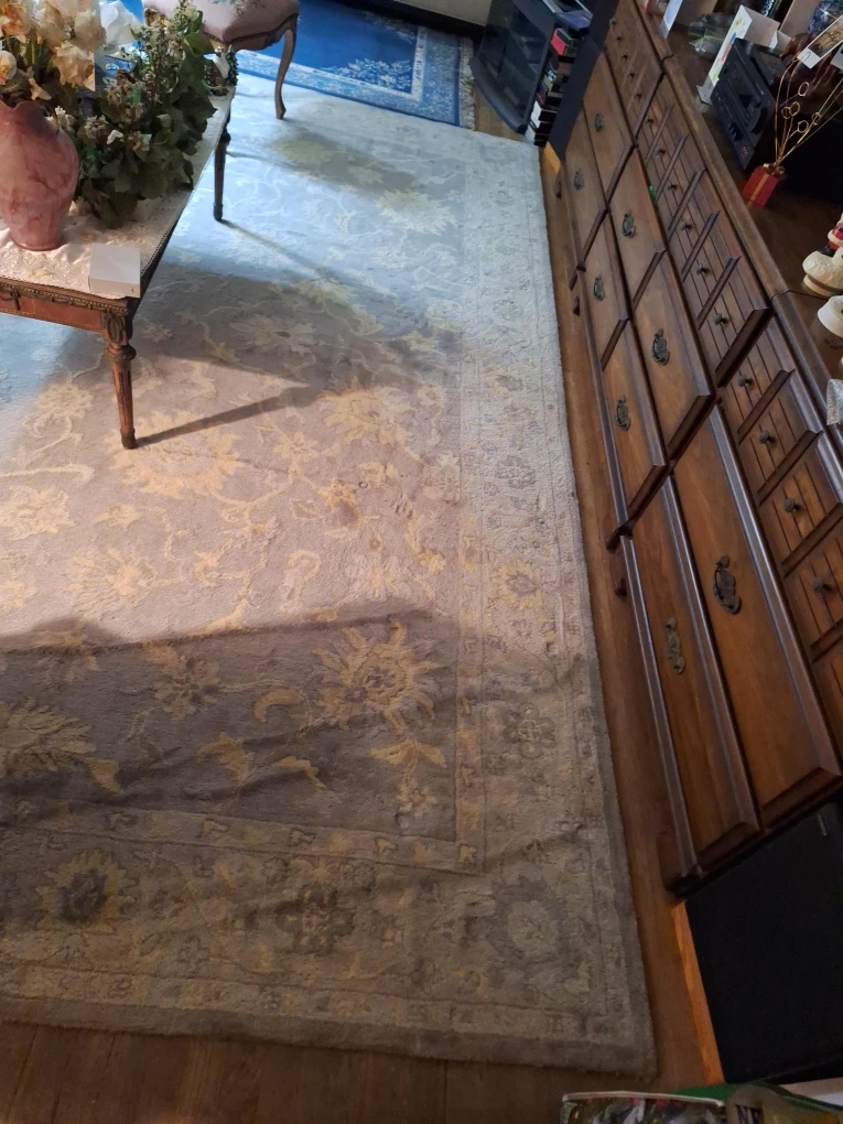 Floral Area Rug