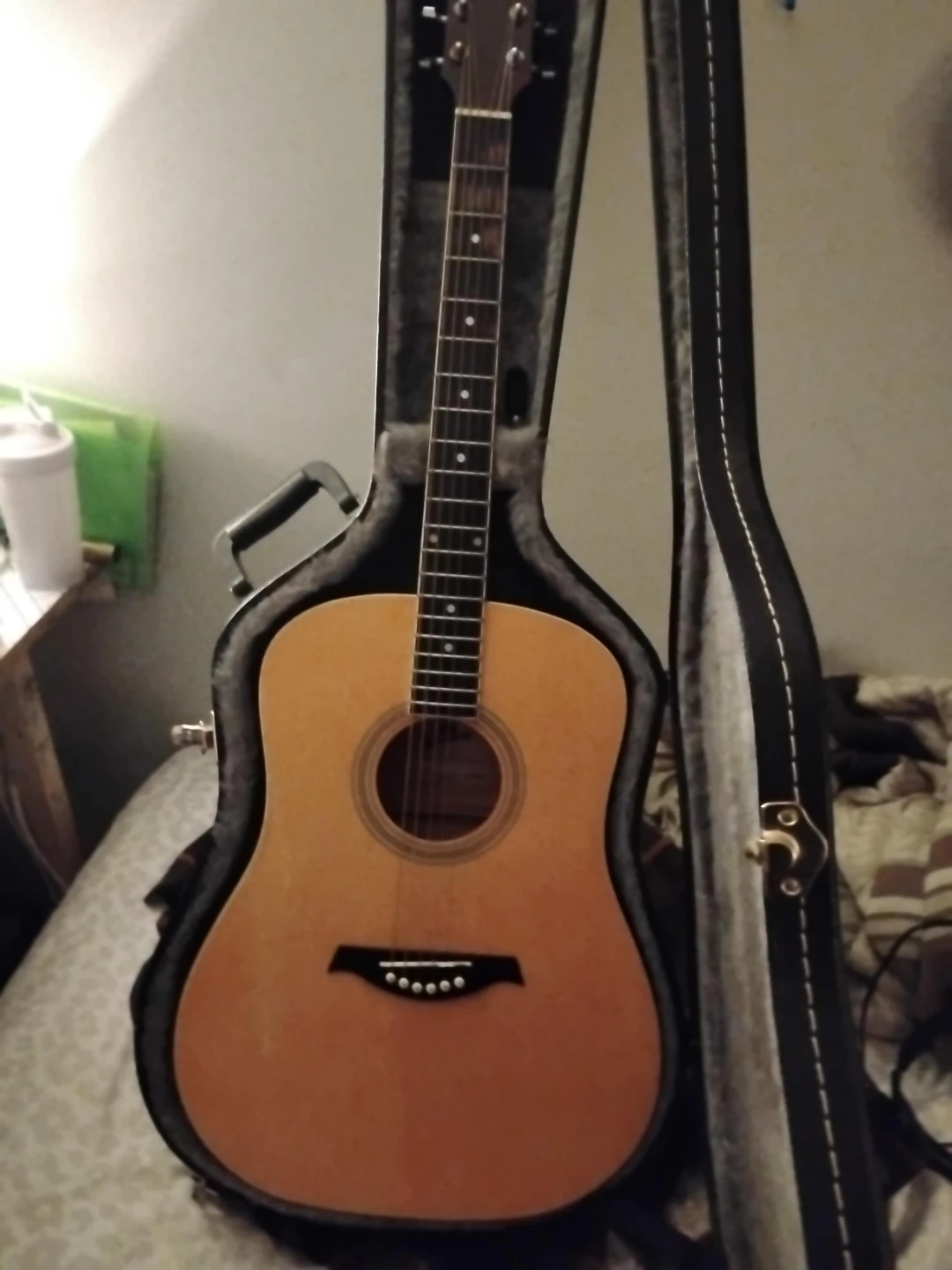 Acoustic Guitar with Hard Case