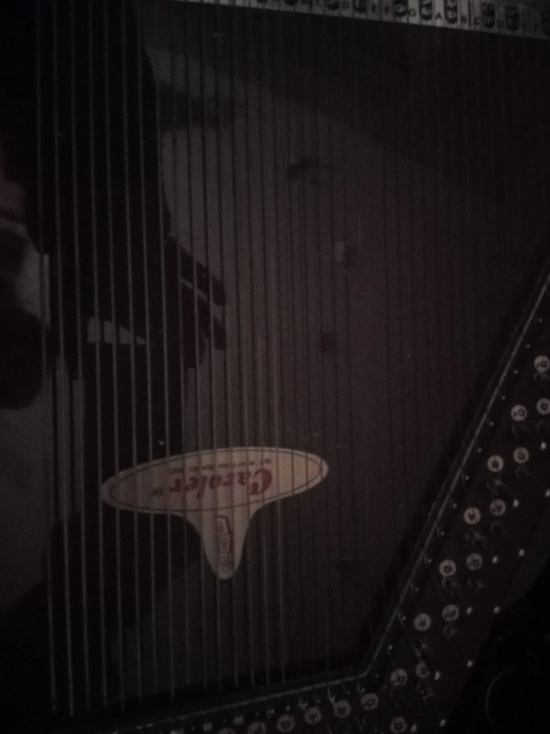 Caroler Autoharp