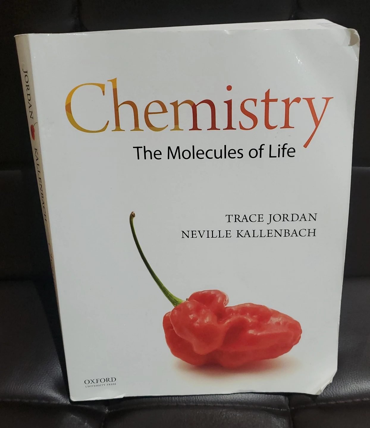 Chemistry: The Molecules of Life by Jordan and Kallenbach