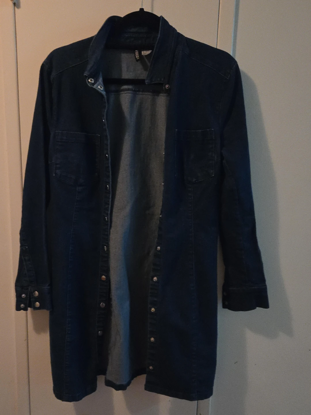 H&M Denim Shirt Dress