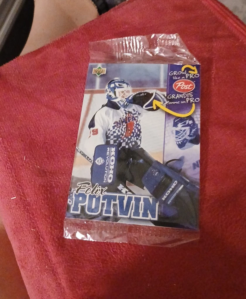 Felix Potvin Hockey Card