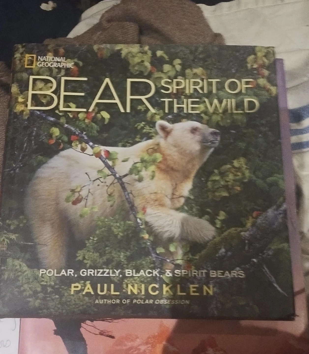 National Geographic Bear: Spirit of the Wild Book