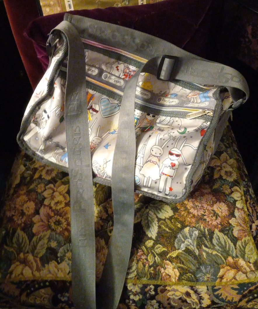 LeSportsac Carry All lightweight Bag