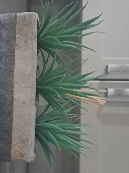 Artificial Succulent Plant in Concrete Pot