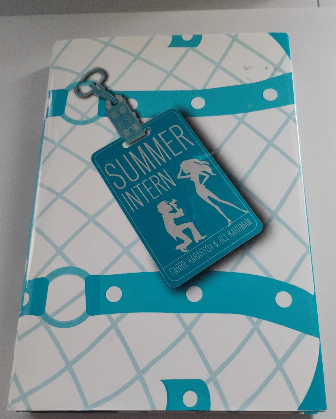 The Summer Intern Book