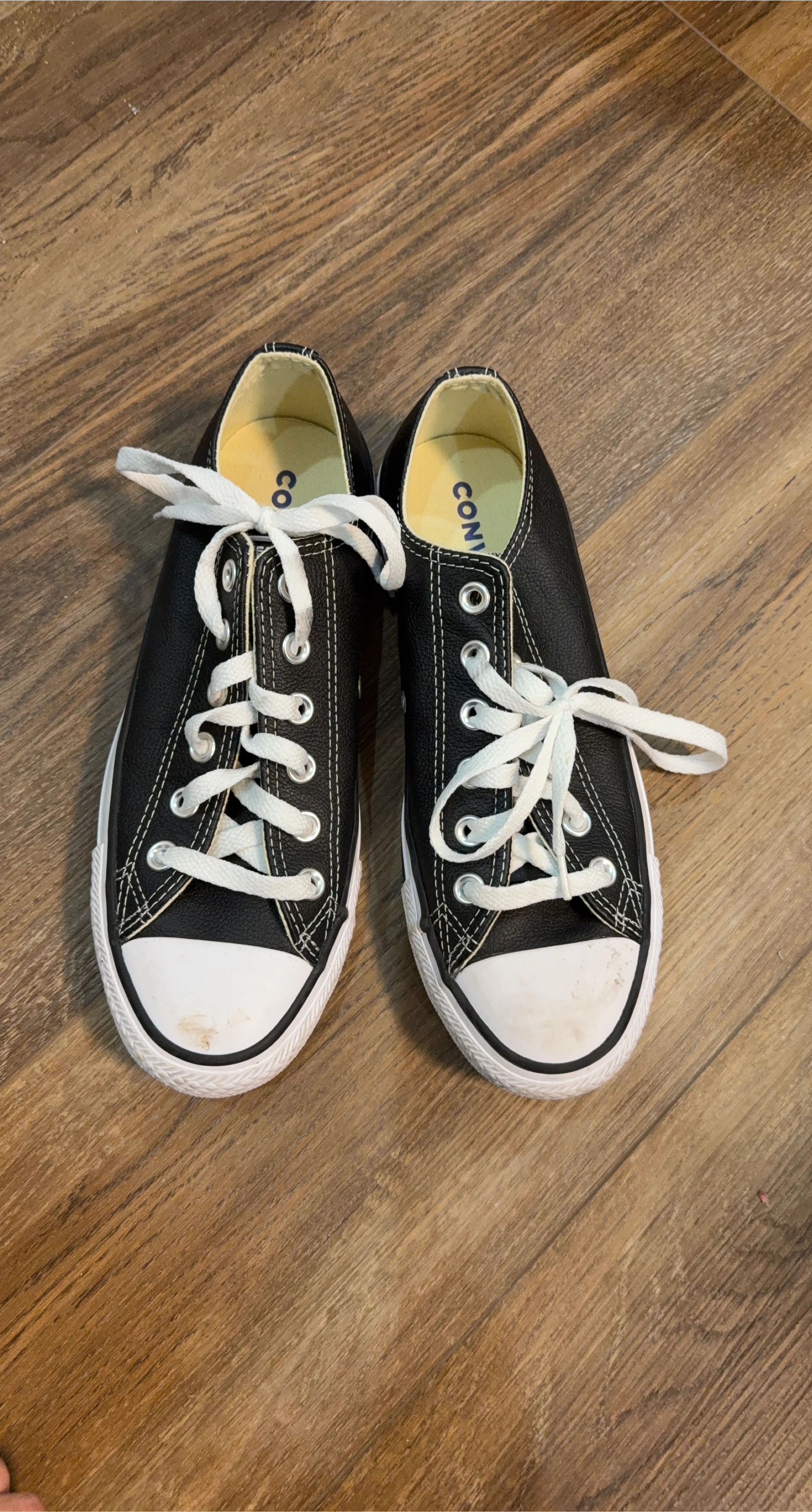 Converse All Star Chuck Taylor Low Top Sneakers