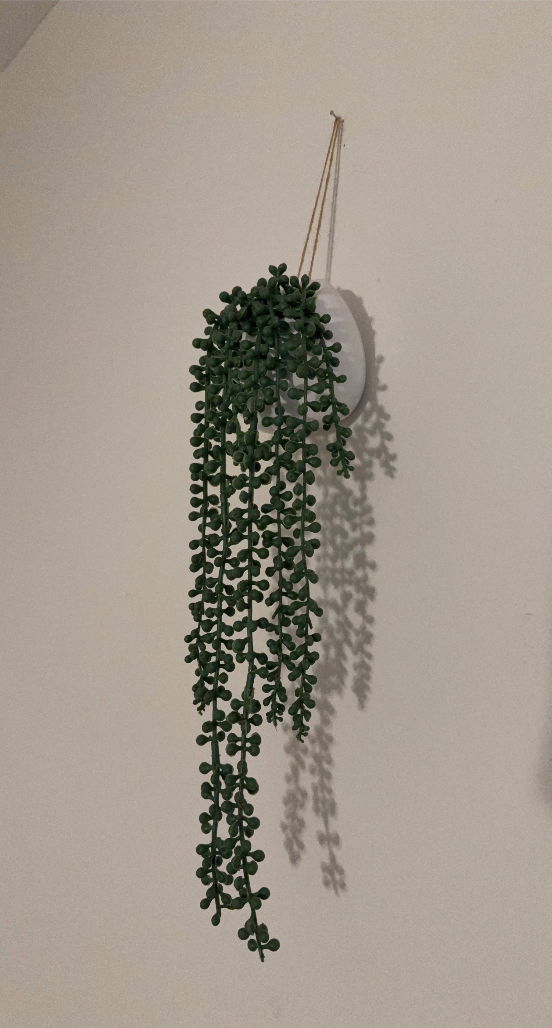 2 identical Artificial Hanging String of Pearls Plants