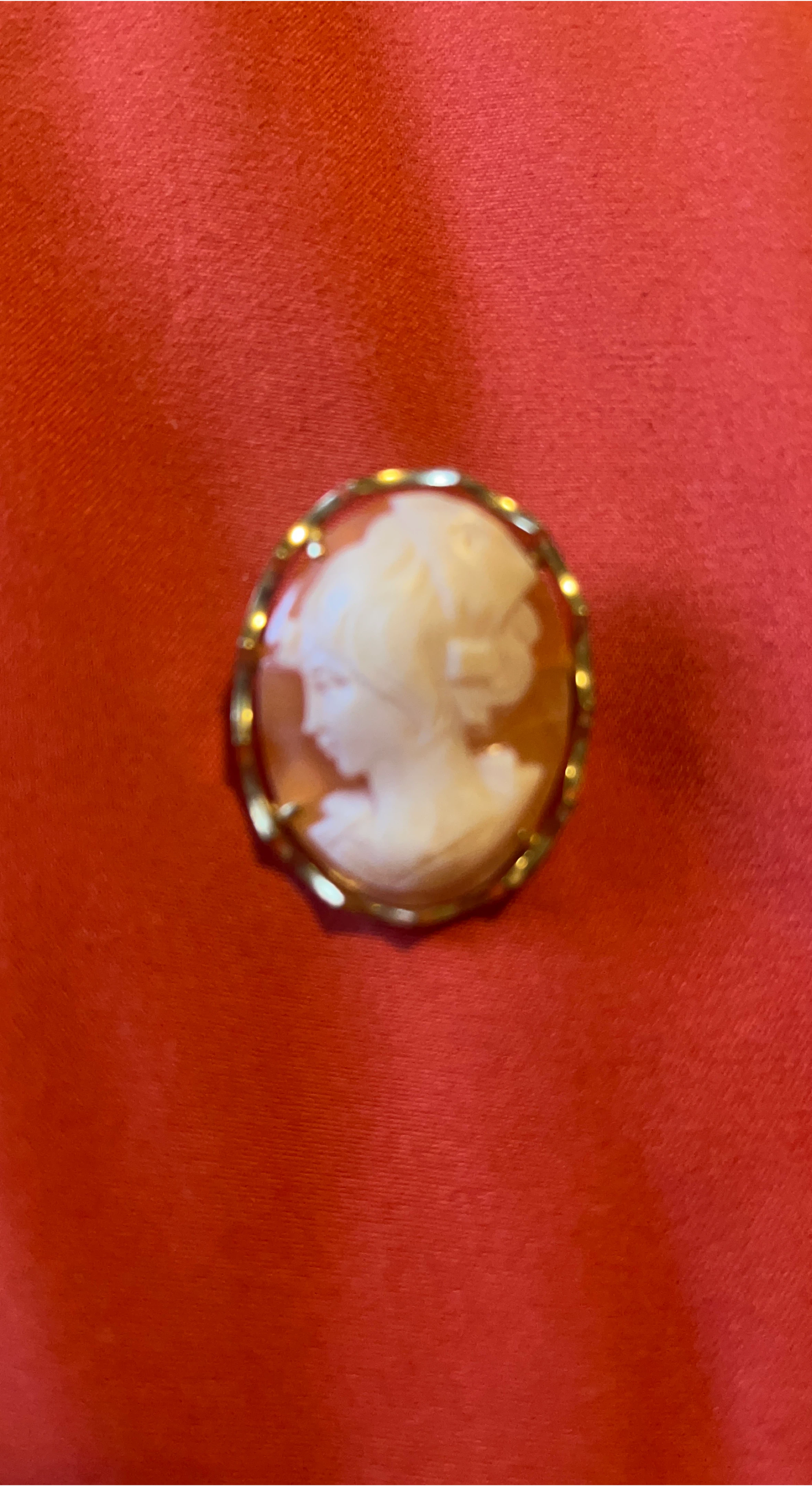 Cameo Brooch Pin Vintage Style