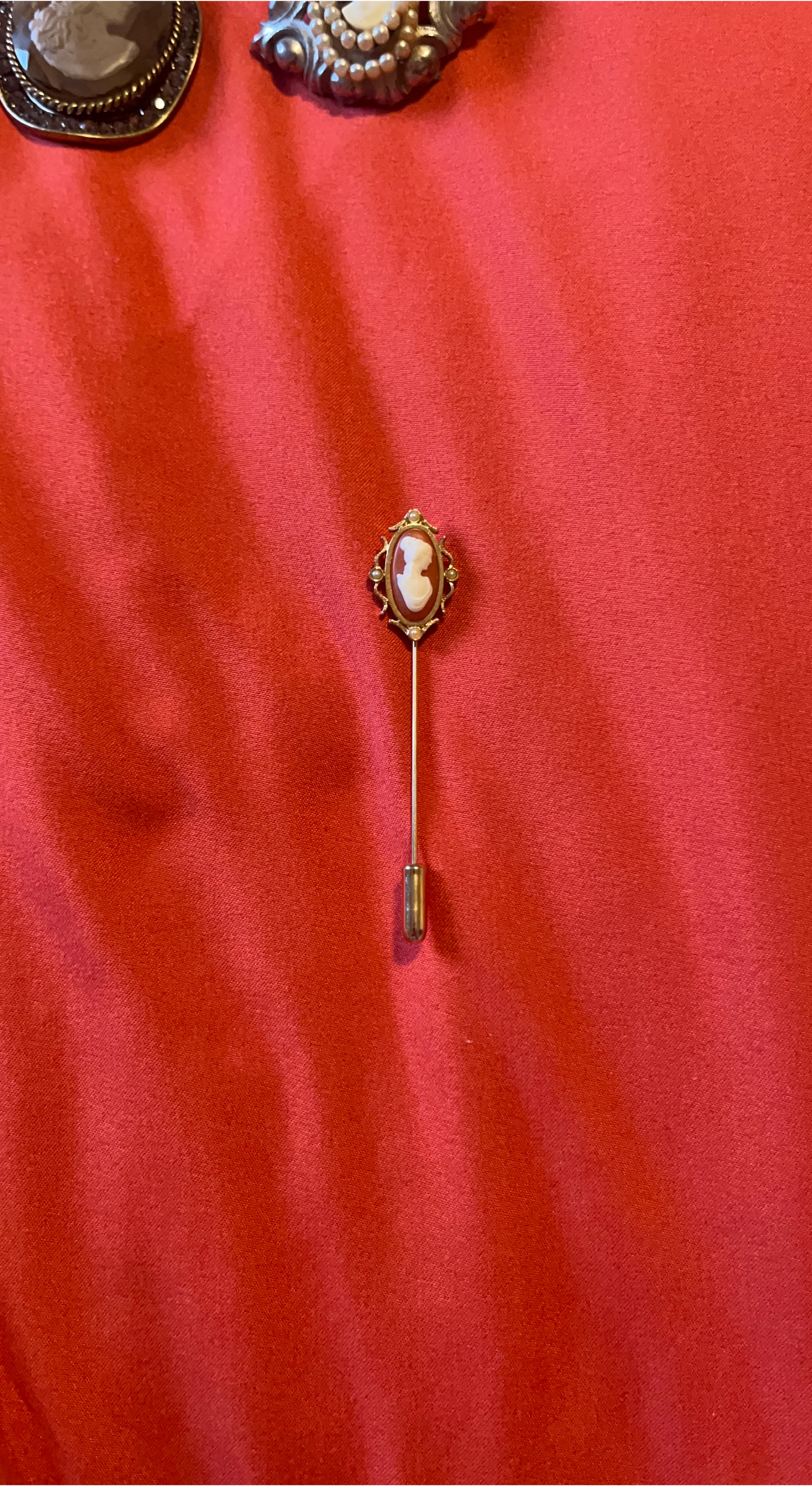 Vintage Cameo Brooch Stick Pin