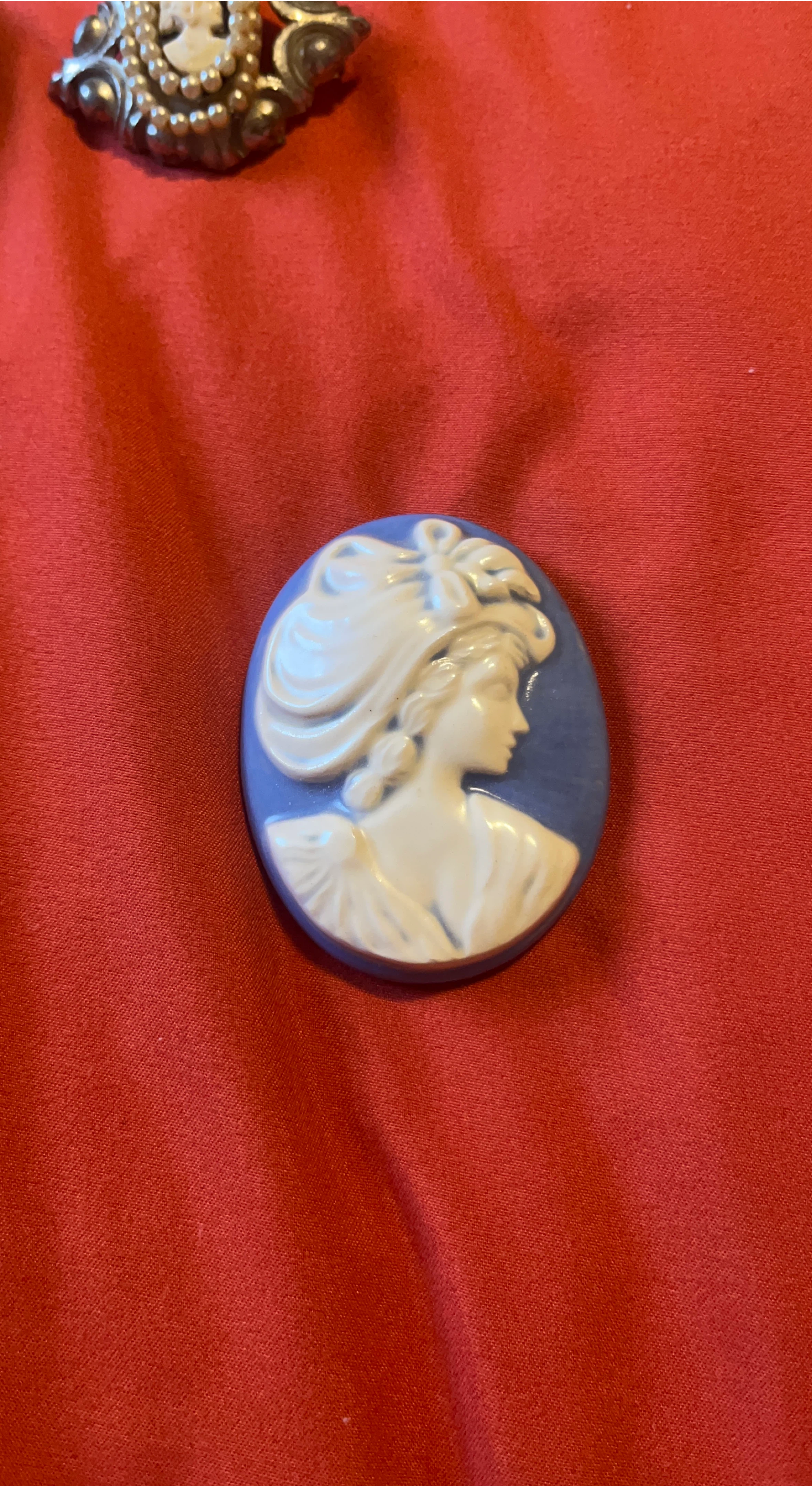 Blue and White Cameo Brooch