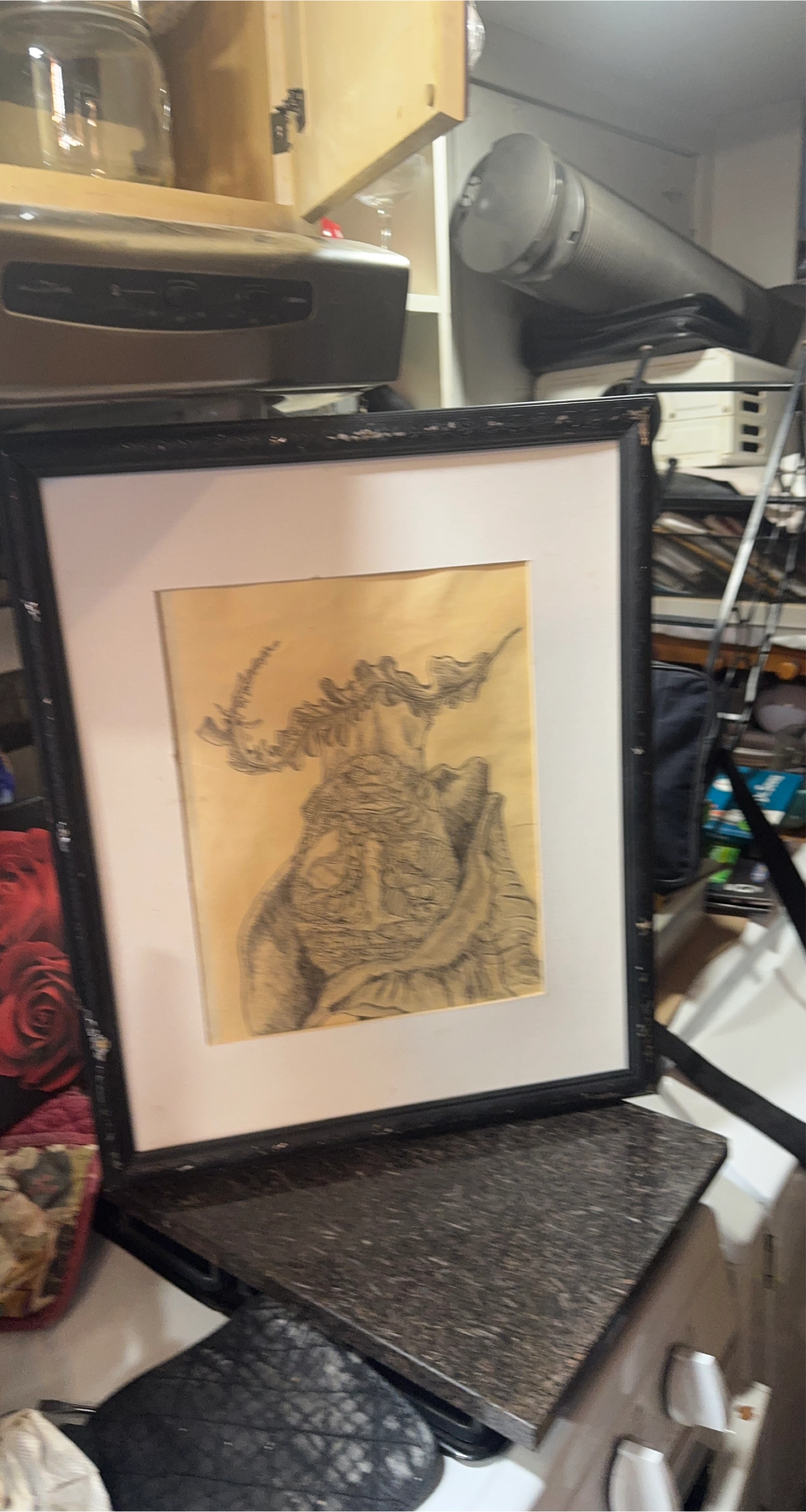 Framed Pencil Drawing Artwork